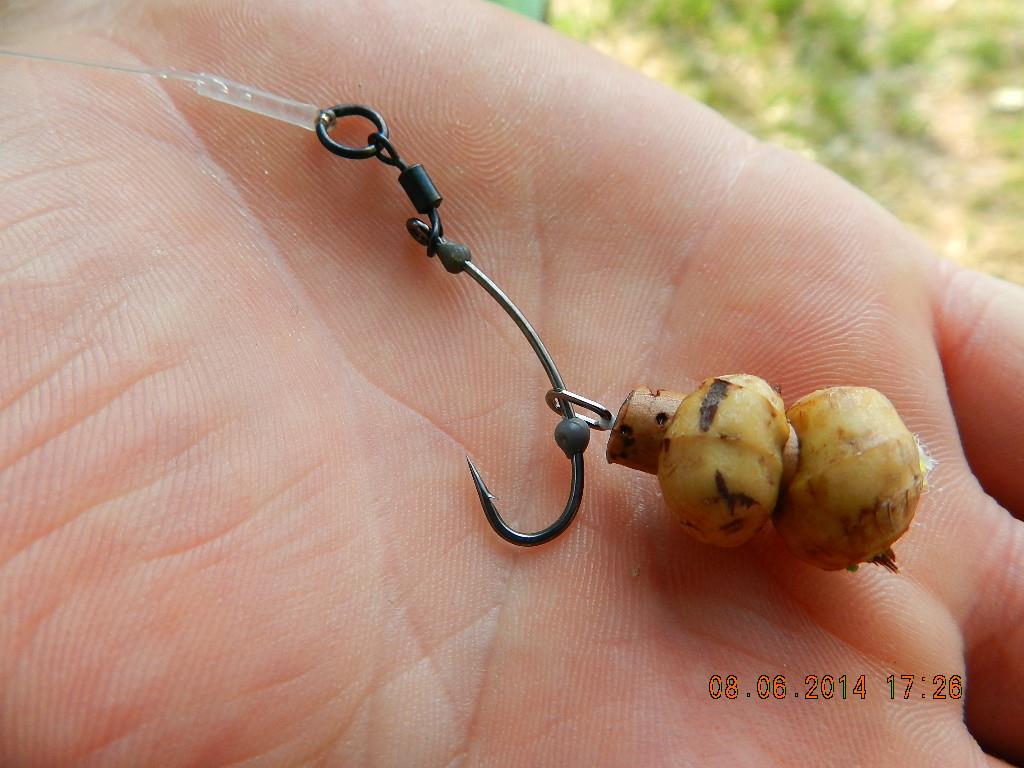 marginal fishing - dscn2690.JPG